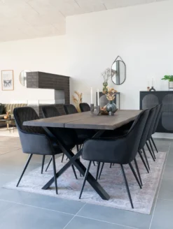 Harbo-Esszimmerstuhl 2er-Set