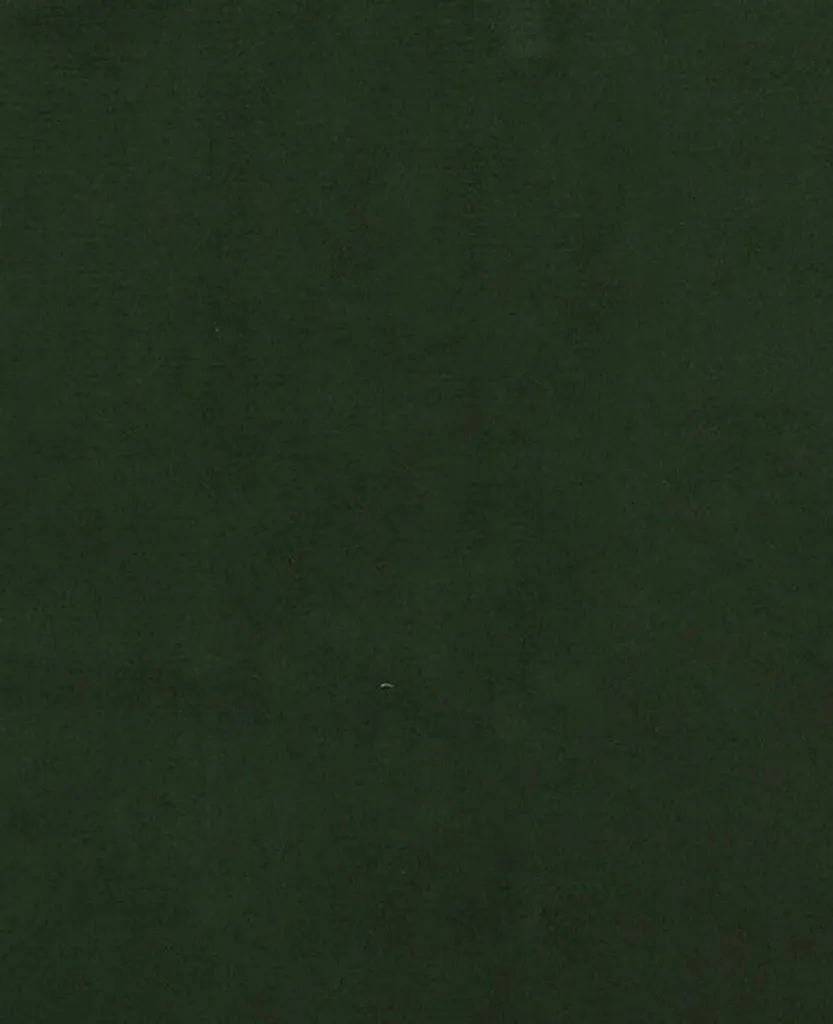 VidaXL Esszimmerstühle 2 Stk. Dunkelgrün Samt – Bild 9