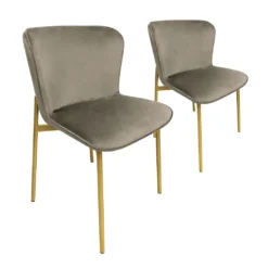 SVITA MARY 2er Set Esszimmerstuhl Polsterstuhl Ohne Armlehnen Küchenstuhl Wohnzimmerstuhl Taupe/Gold