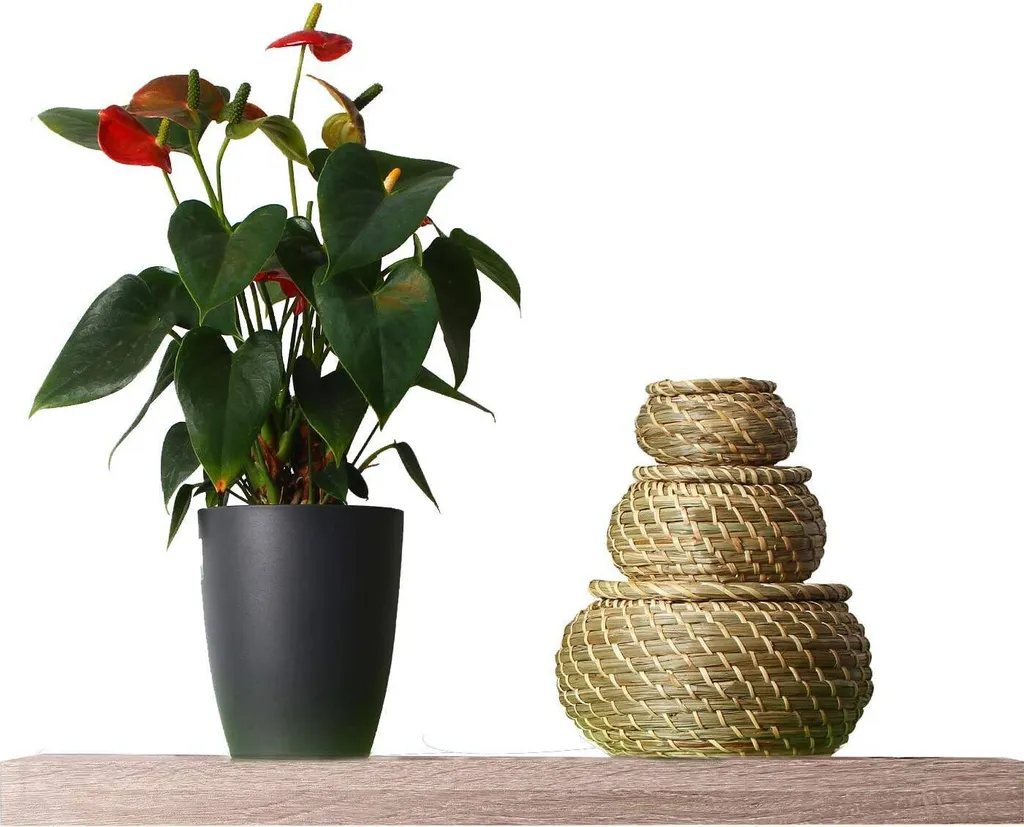 EUGAD Wandregal Wandboard Buchregal Hängeregal DVD CD Regal Holz Board Sonoma Eiche 60x23x3,8 Cm – Bild 3