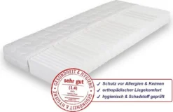 BeCo Sanalux Care - 7 Zonen Komfortschaummatratze 90 X 200 Cm H2