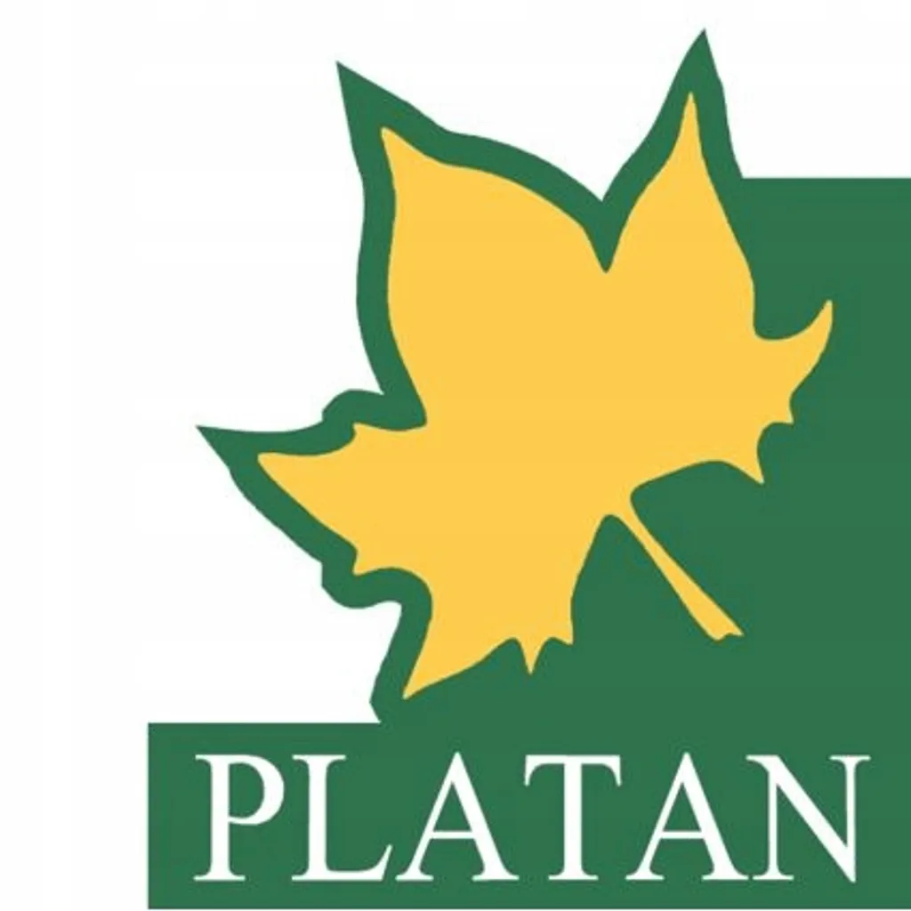 Platan Schlafsofa Adam Klappsofa, Mit Schlaffunktion, Polstersofa, Federn - Farbe: 100 Schwarz – Bild 10